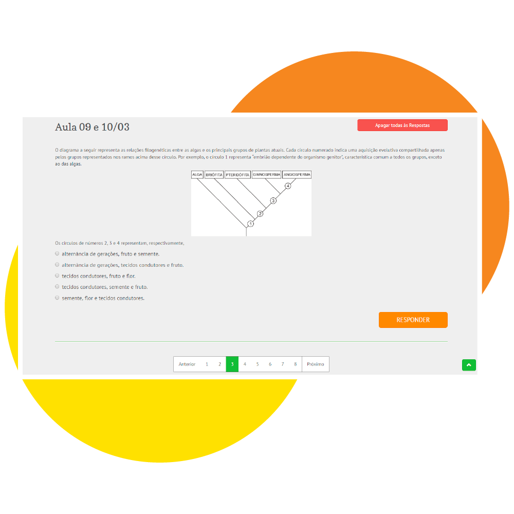 Conteúdo Teórico - Educação Nota 10